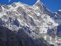 世界杯冠军巧合-世界杯冠军巧合，命运的交织与偶然